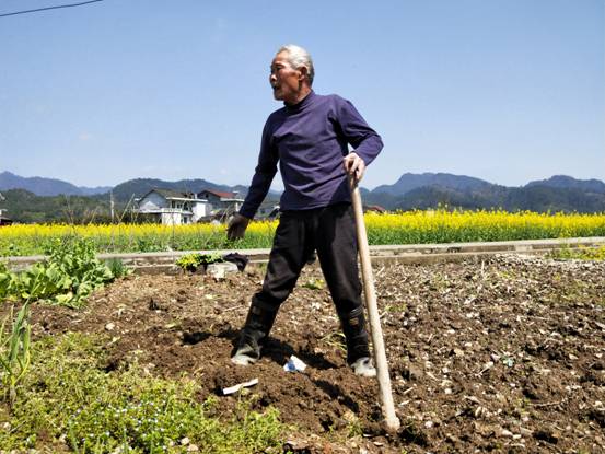 ΢��ͼƬ_20190326192002