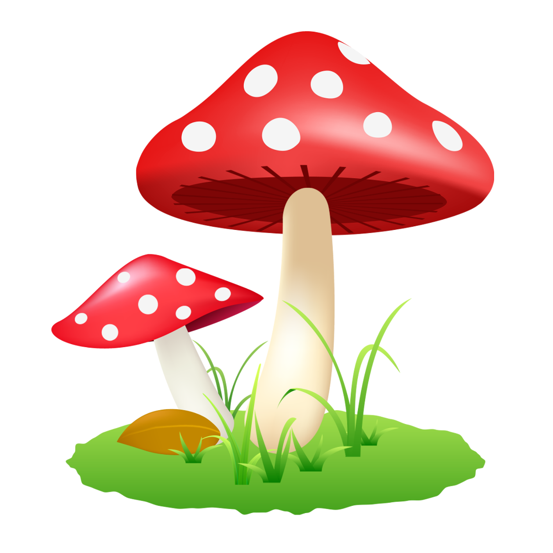 摄图网_401224155_蘑菇(企业商用).png 图片